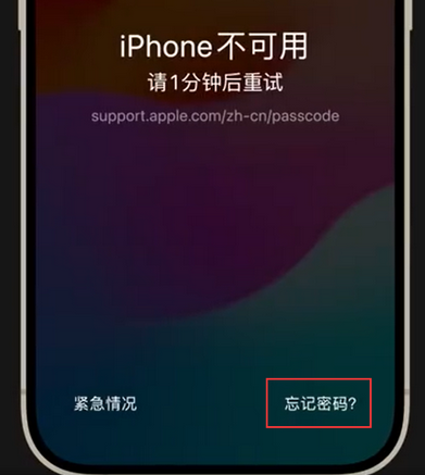济源苹果手机密码维修分享iPhone忘记了刚设置的密码 